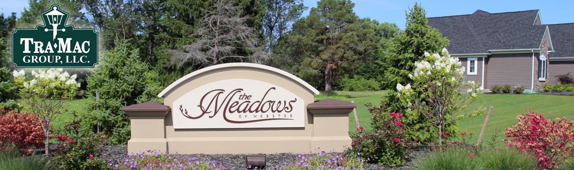 The Meadows Banner Photo